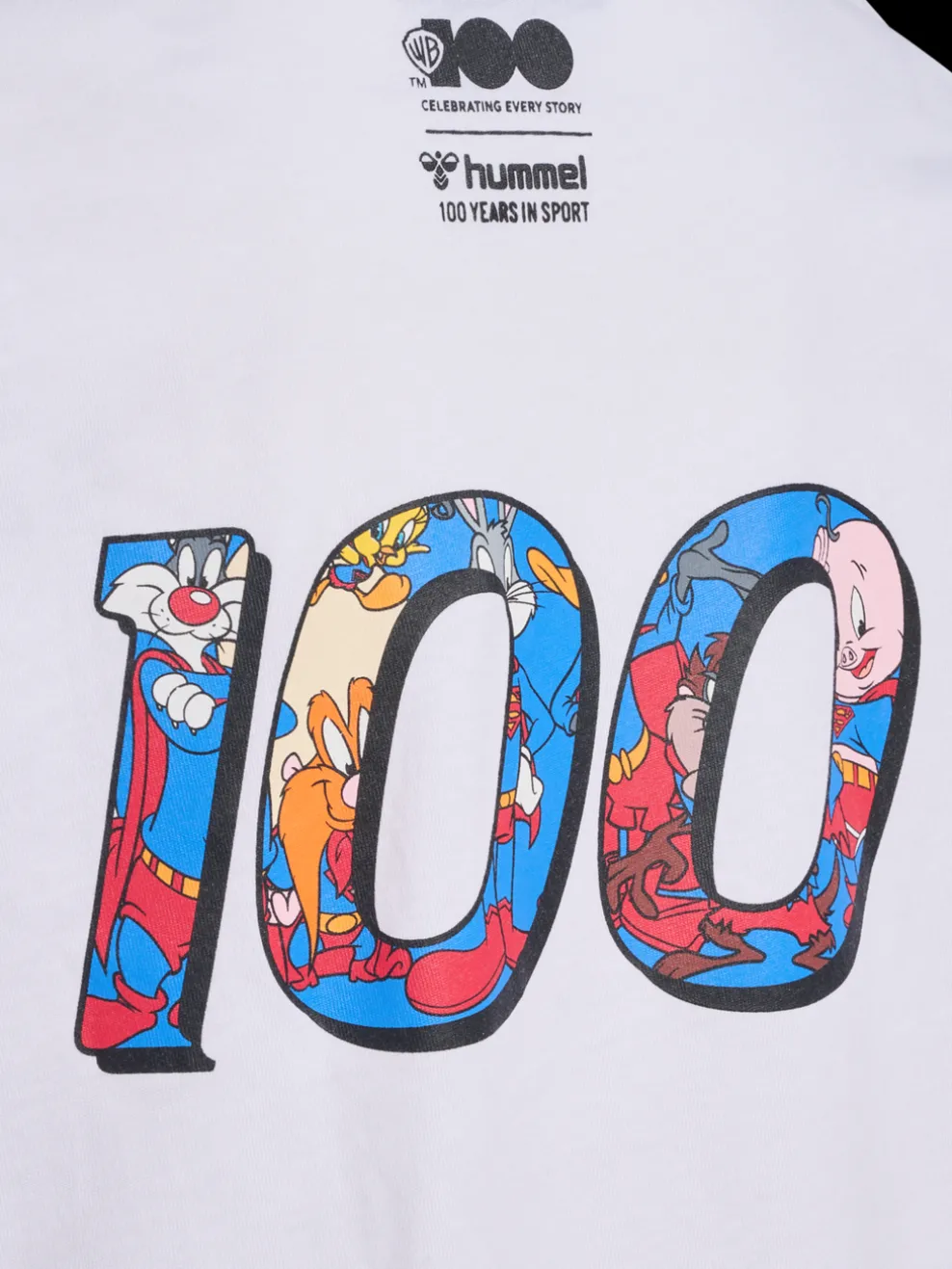 hmlCELEBRATING STORY T-SHIRT S/S