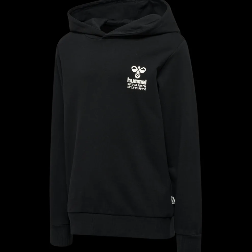 hmlGLOBAL HOODIE