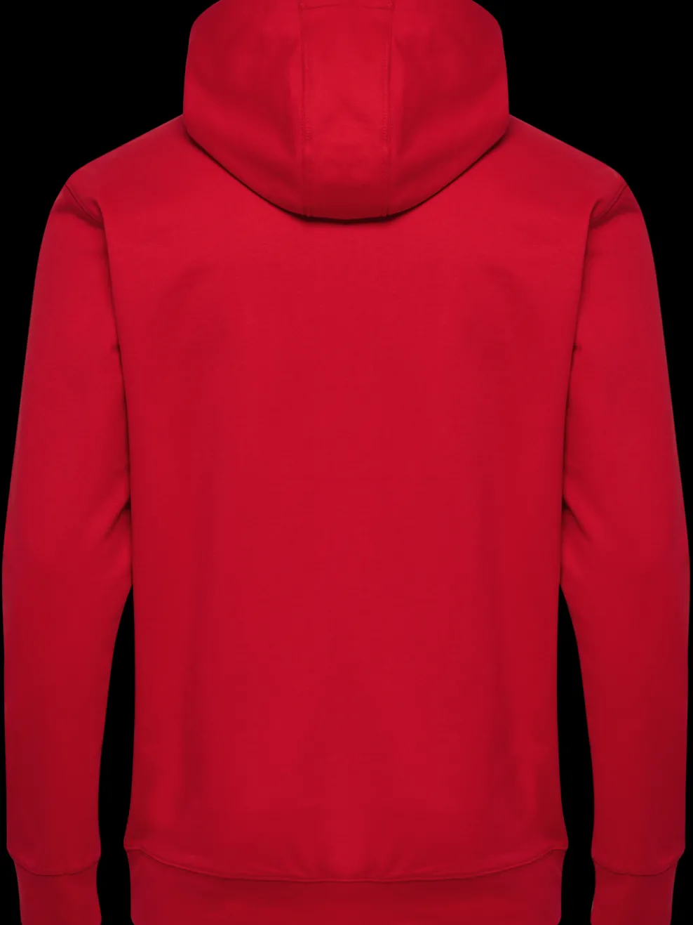 hmlGO 2.0 LOGO HOODIE