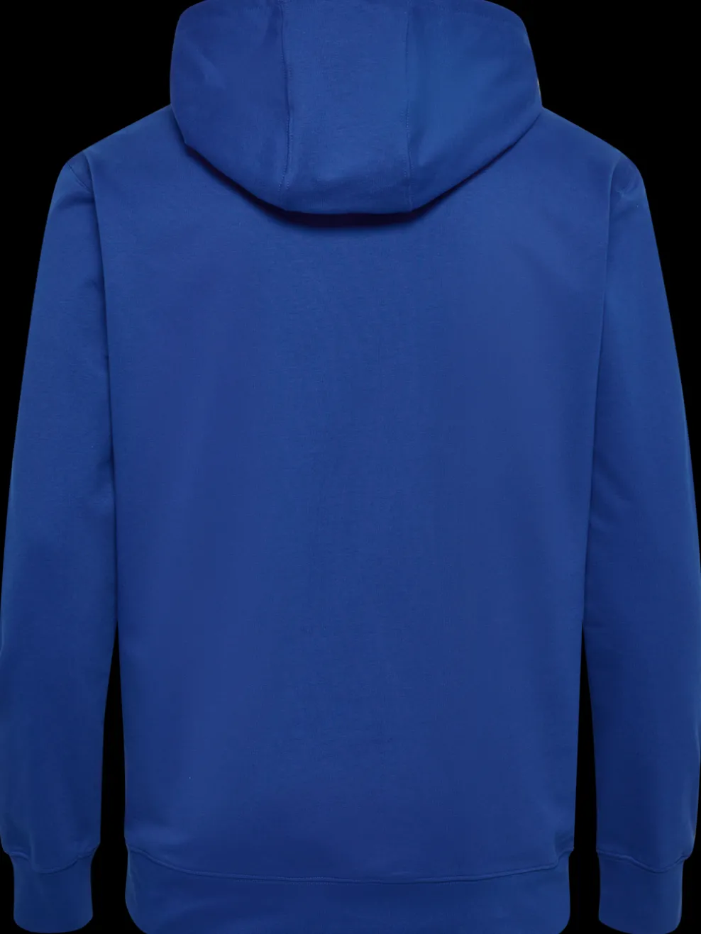 hmlGO 2.0 LOGO HOODIE