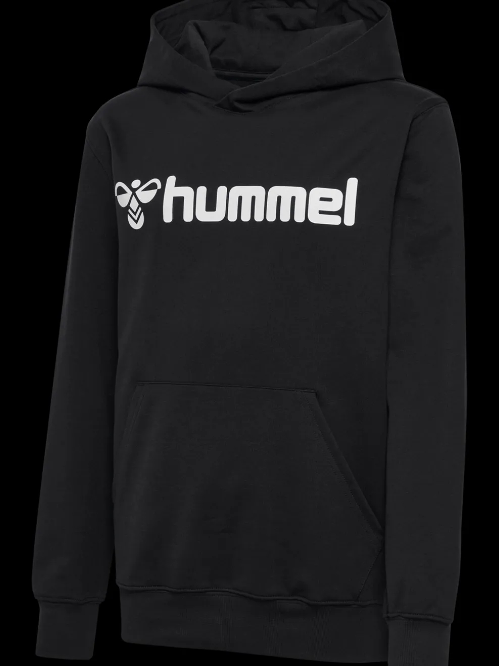 hmlGO 2.0 LOGO HOODIE KIDS