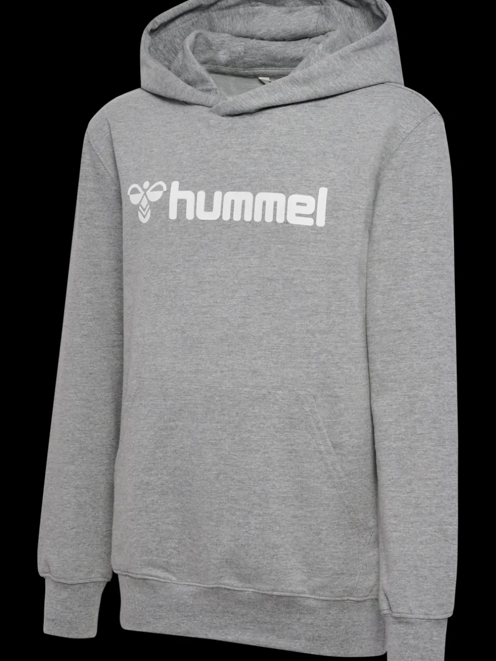 hmlGO 2.0 LOGO HOODIE KIDS