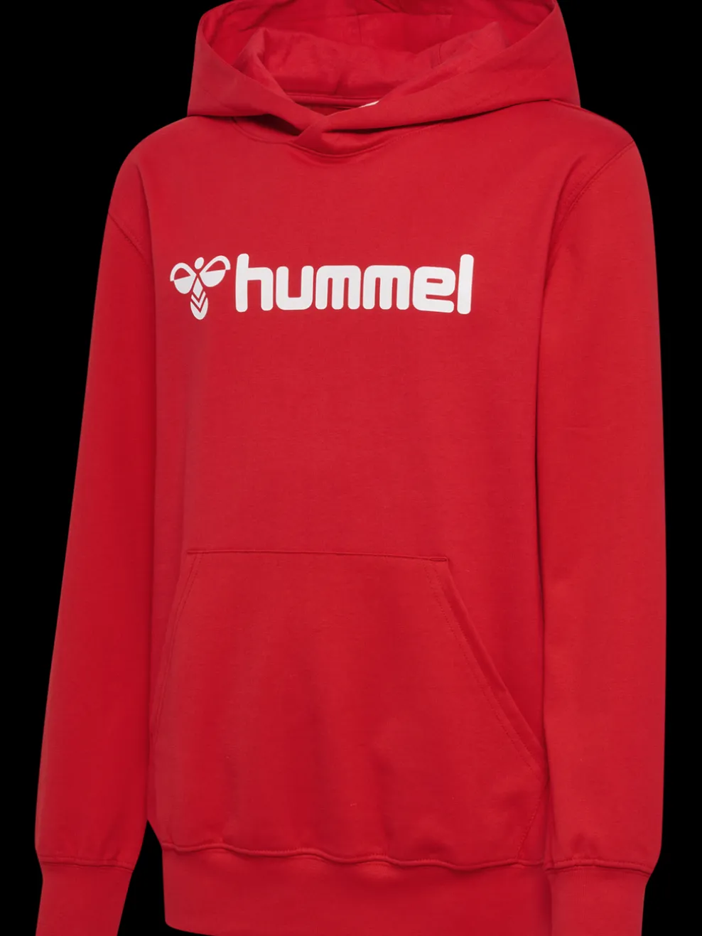 hmlGO 2.0 LOGO HOODIE KIDS