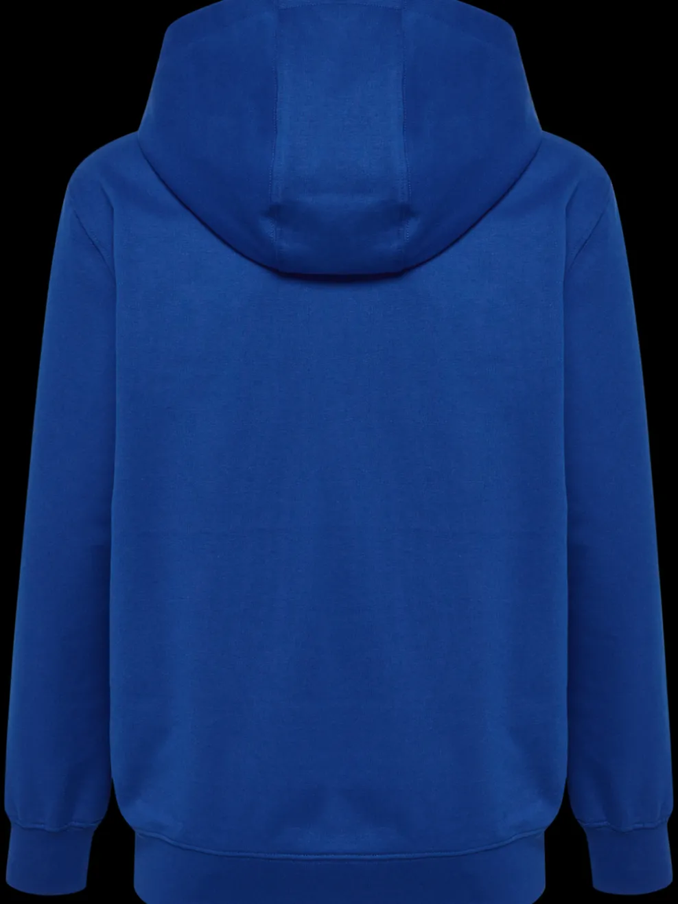 hmlGO 2.0 LOGO HOODIE KIDS