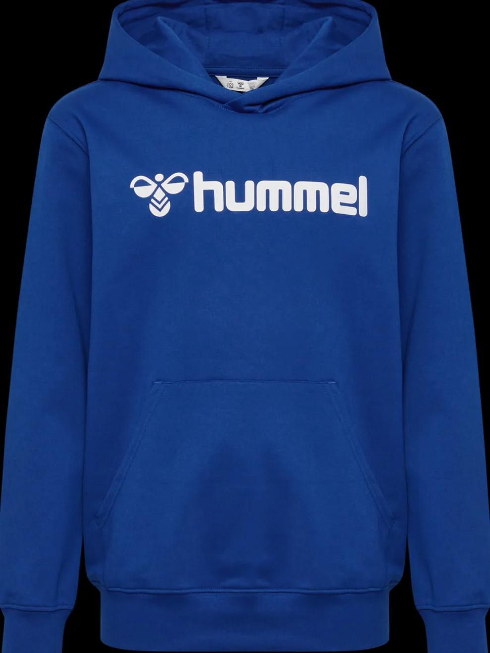 hmlGO 2.0 LOGO HOODIE KIDS