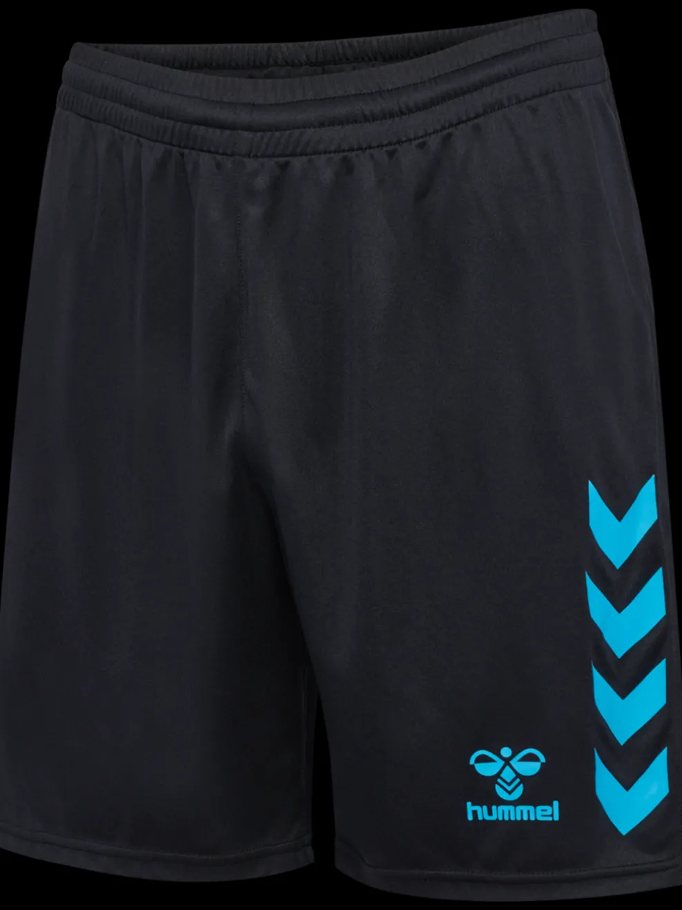 hmlGRAPHIC UNIVERSE SHORTS