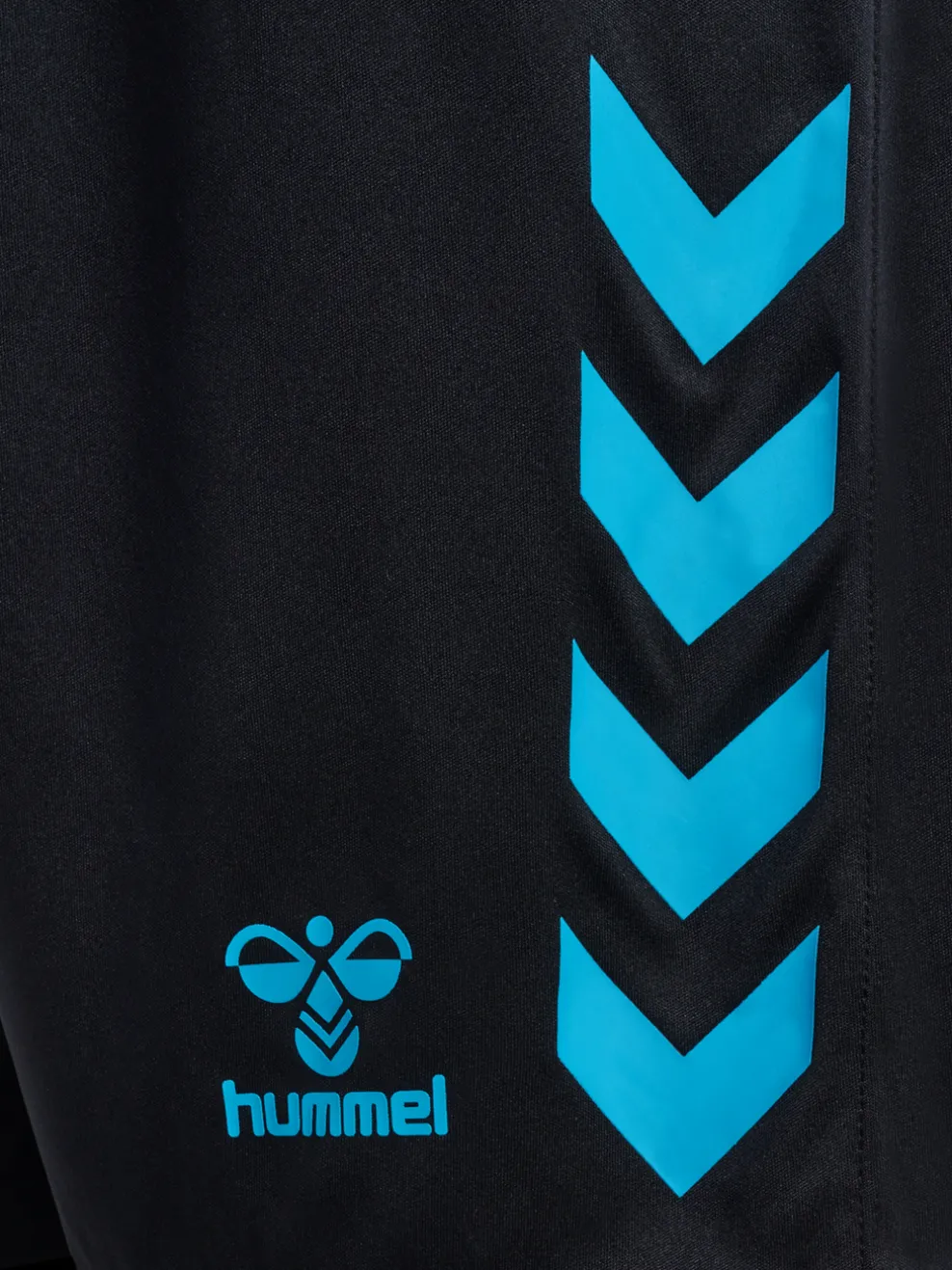 hmlGRAPHIC UNIVERSE SHORTS