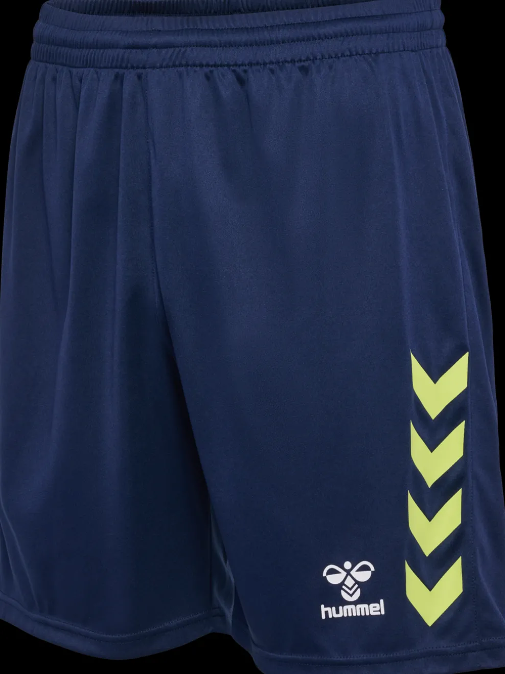 hmlGRAPHIC UNIVERSE SHORTS