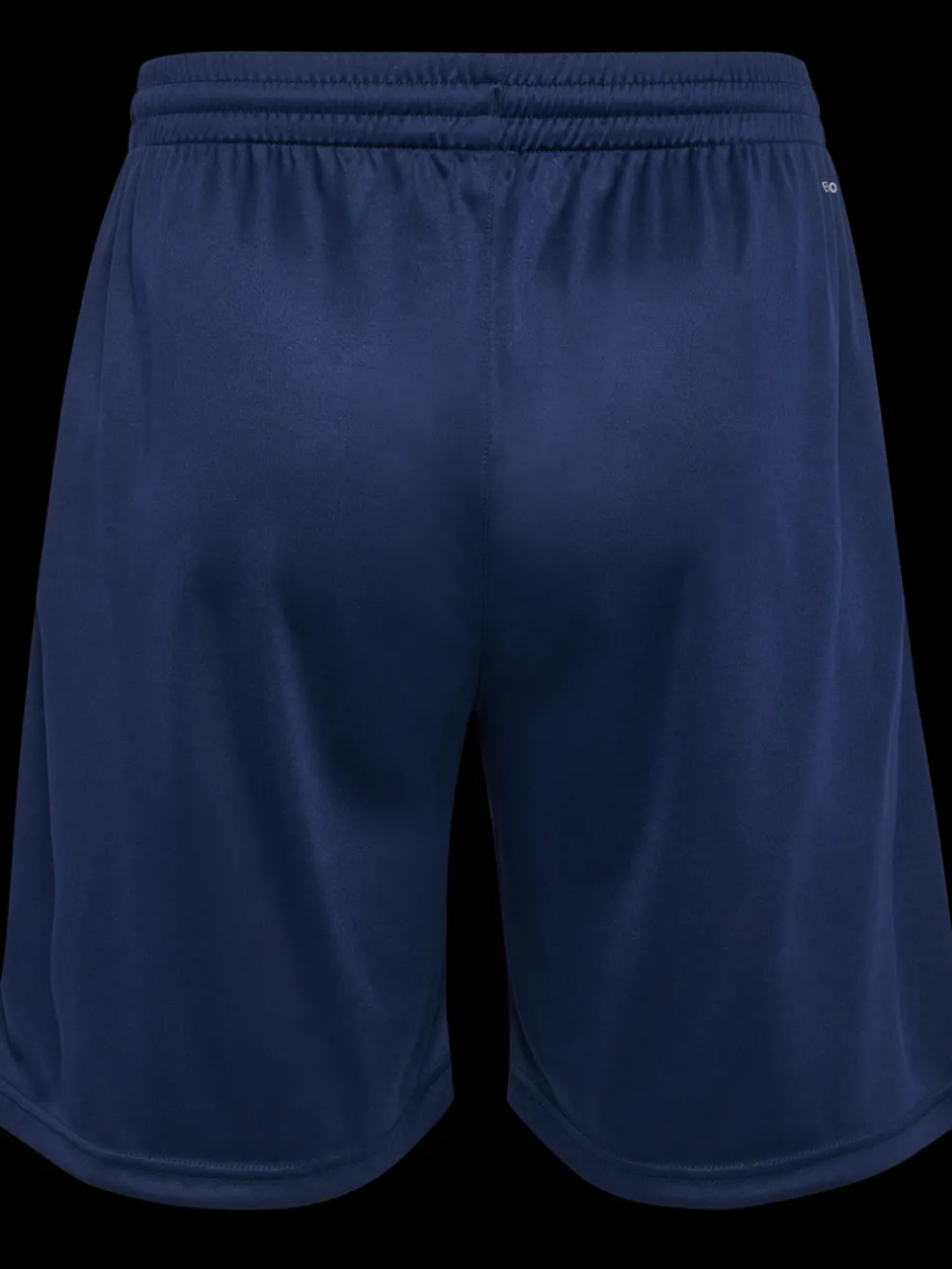 hmlGRAPHIC UNIVERSE SHORTS