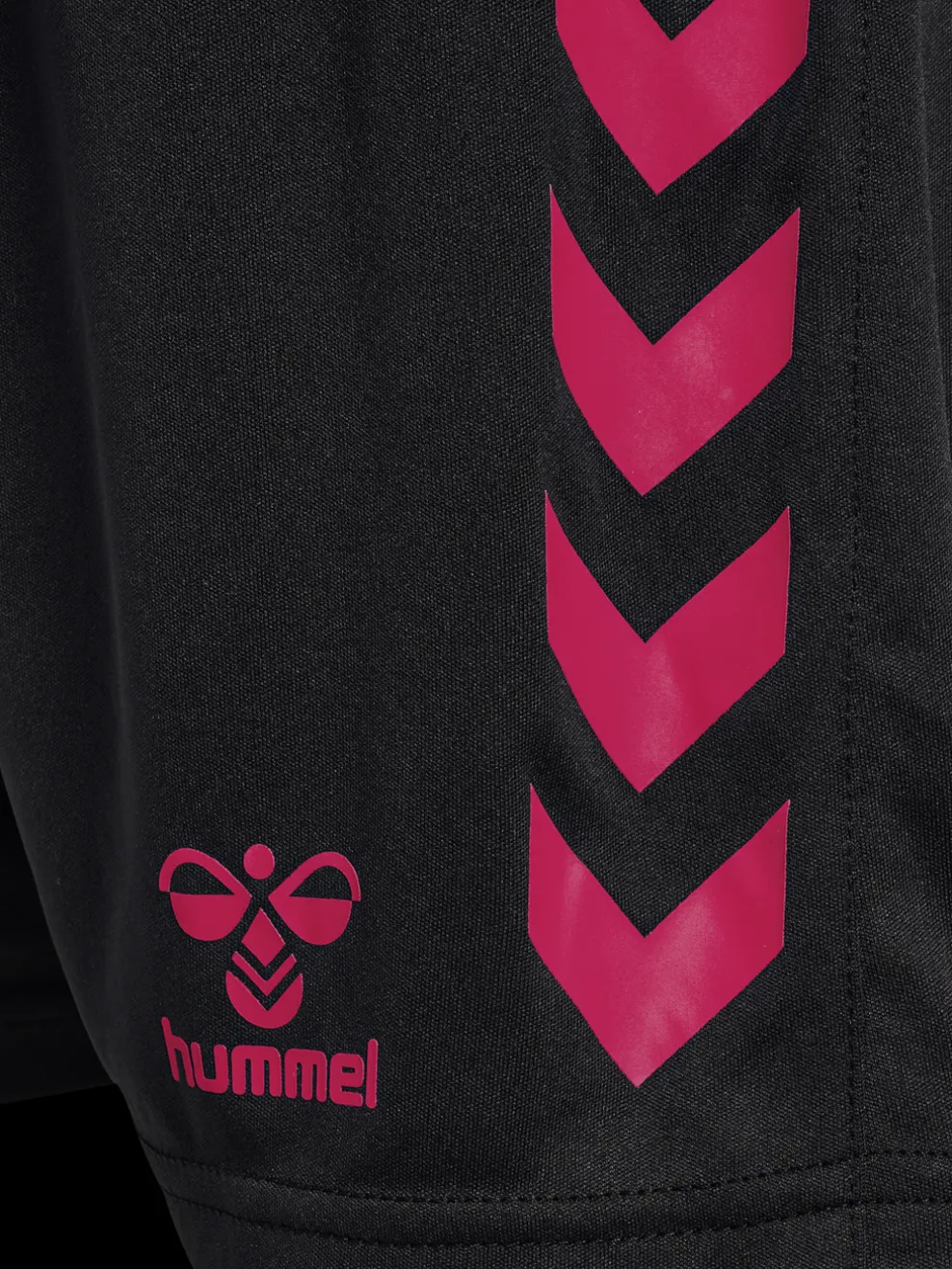 hmlGRAPHIC UNIVERSE SHORTS KIDS