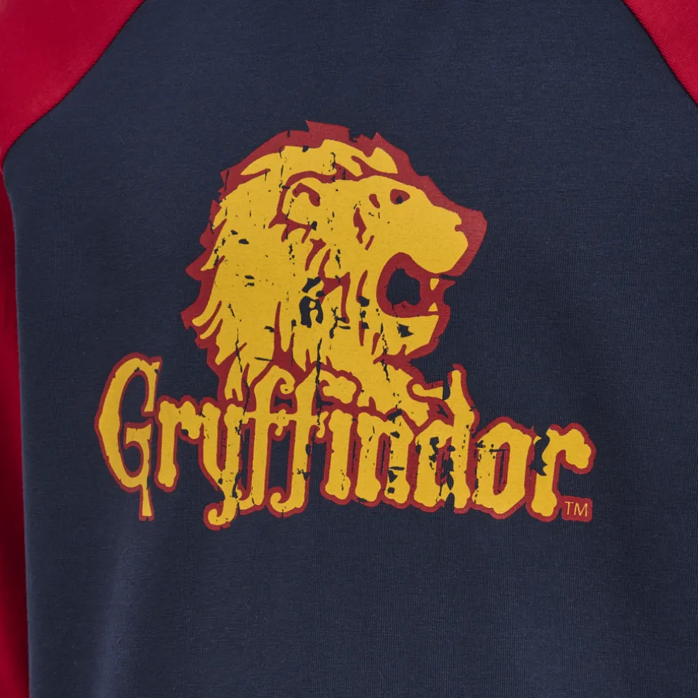 hmlHARRY POTTER BOYS T-SHIRT L/S