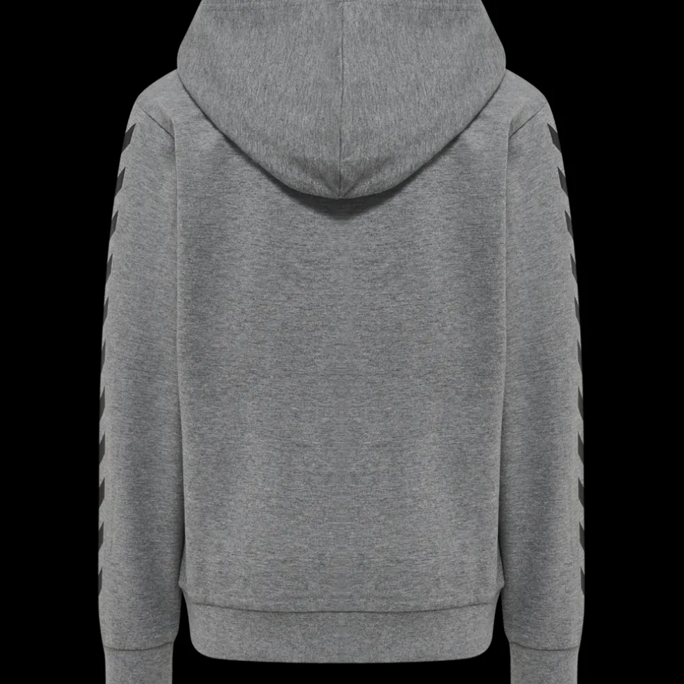 hmlHARRY POTTER CUATRO HOODIE
