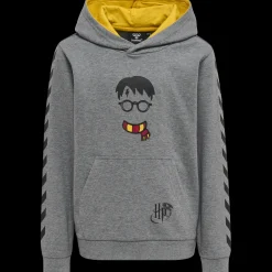 hmlHARRY POTTER CUATRO HOODIE