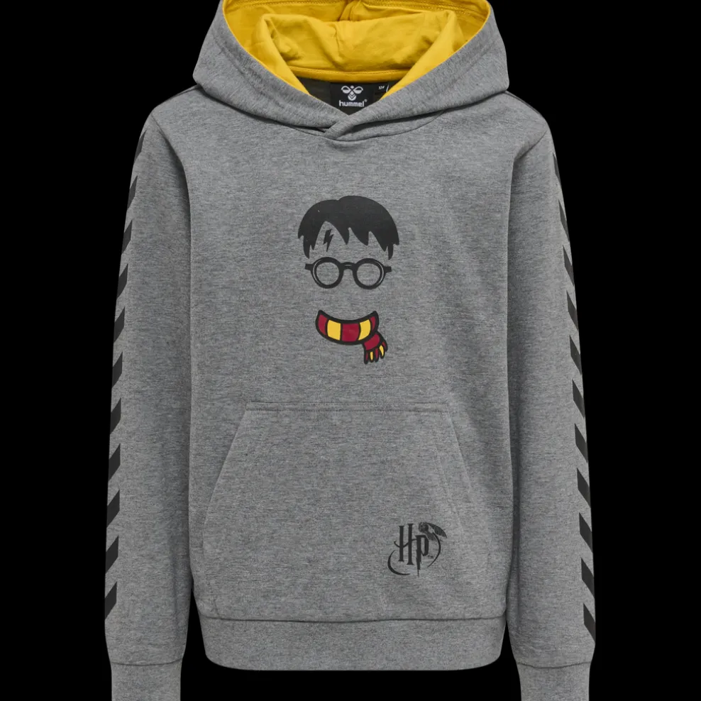 hmlHARRY POTTER CUATRO HOODIE