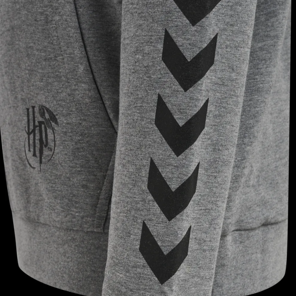 hmlHARRY POTTER CUATRO HOODIE