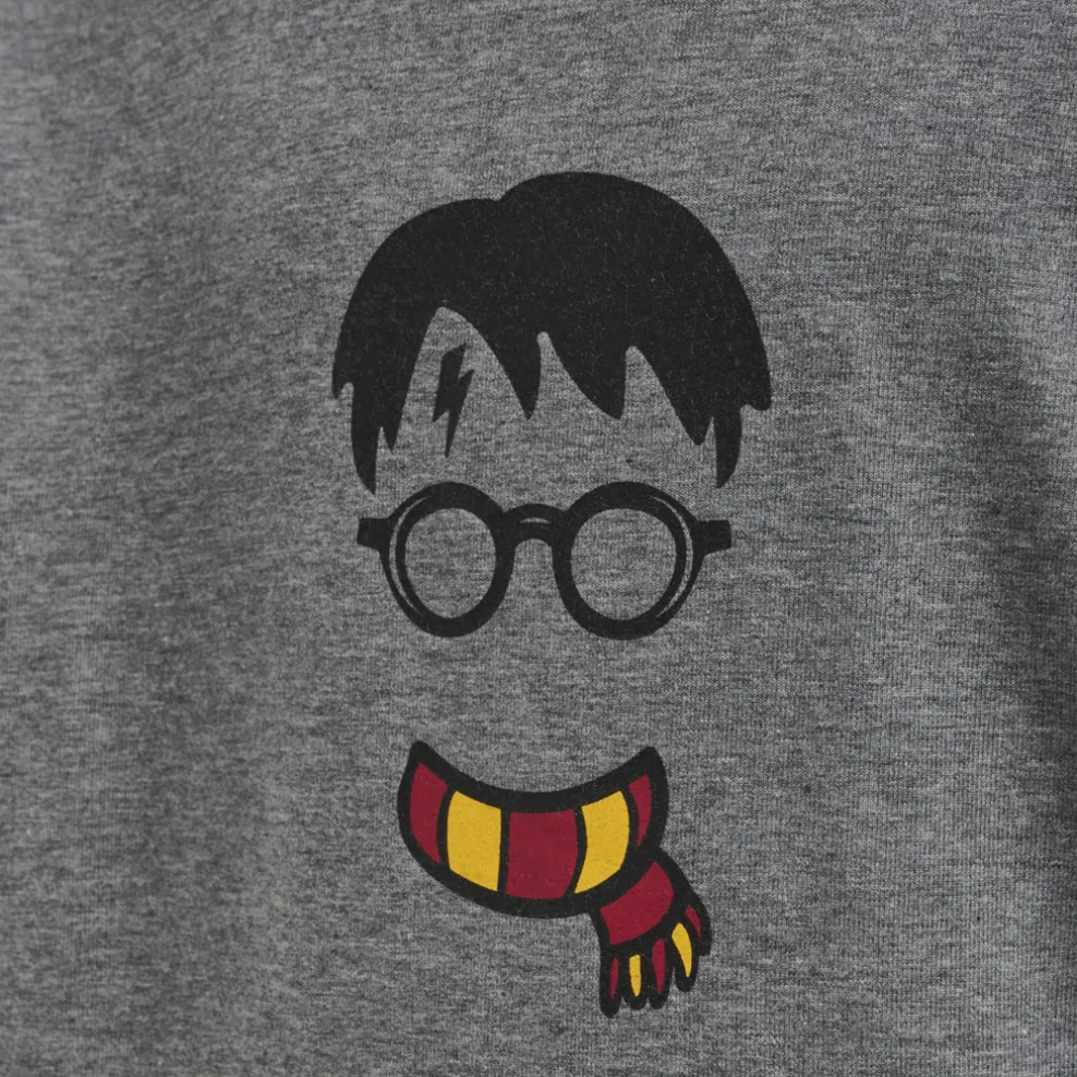 hmlHARRY POTTER CUATRO HOODIE