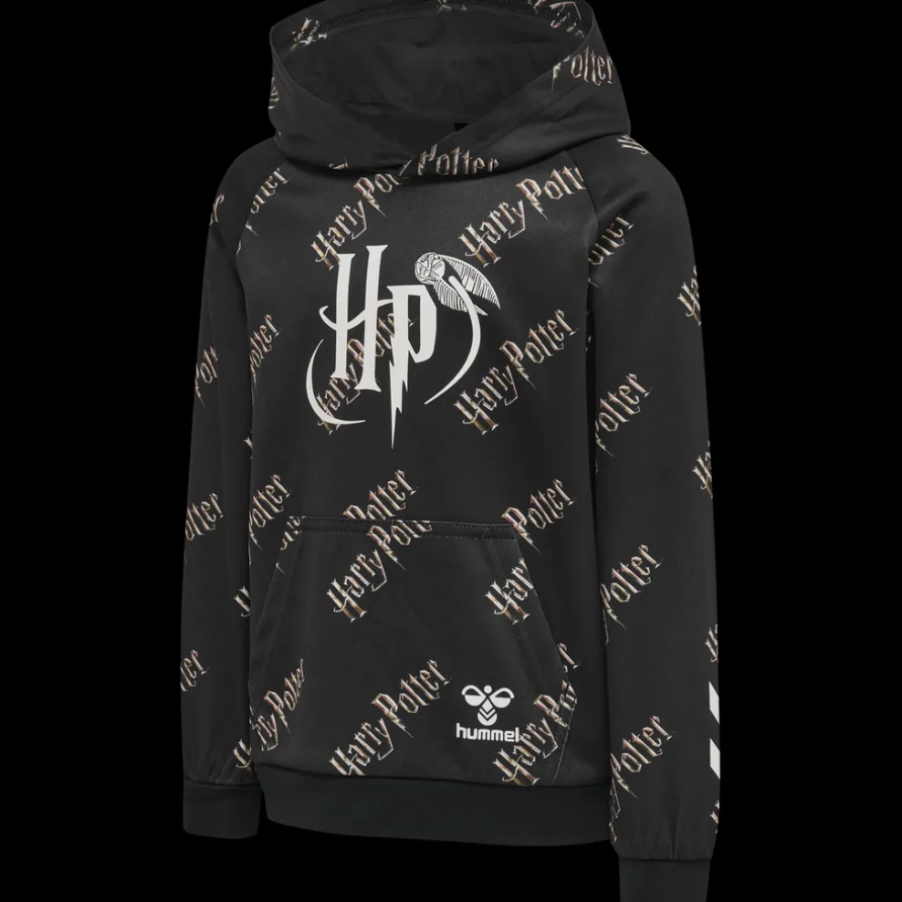 hmlHARRY POTTER HOODIE
