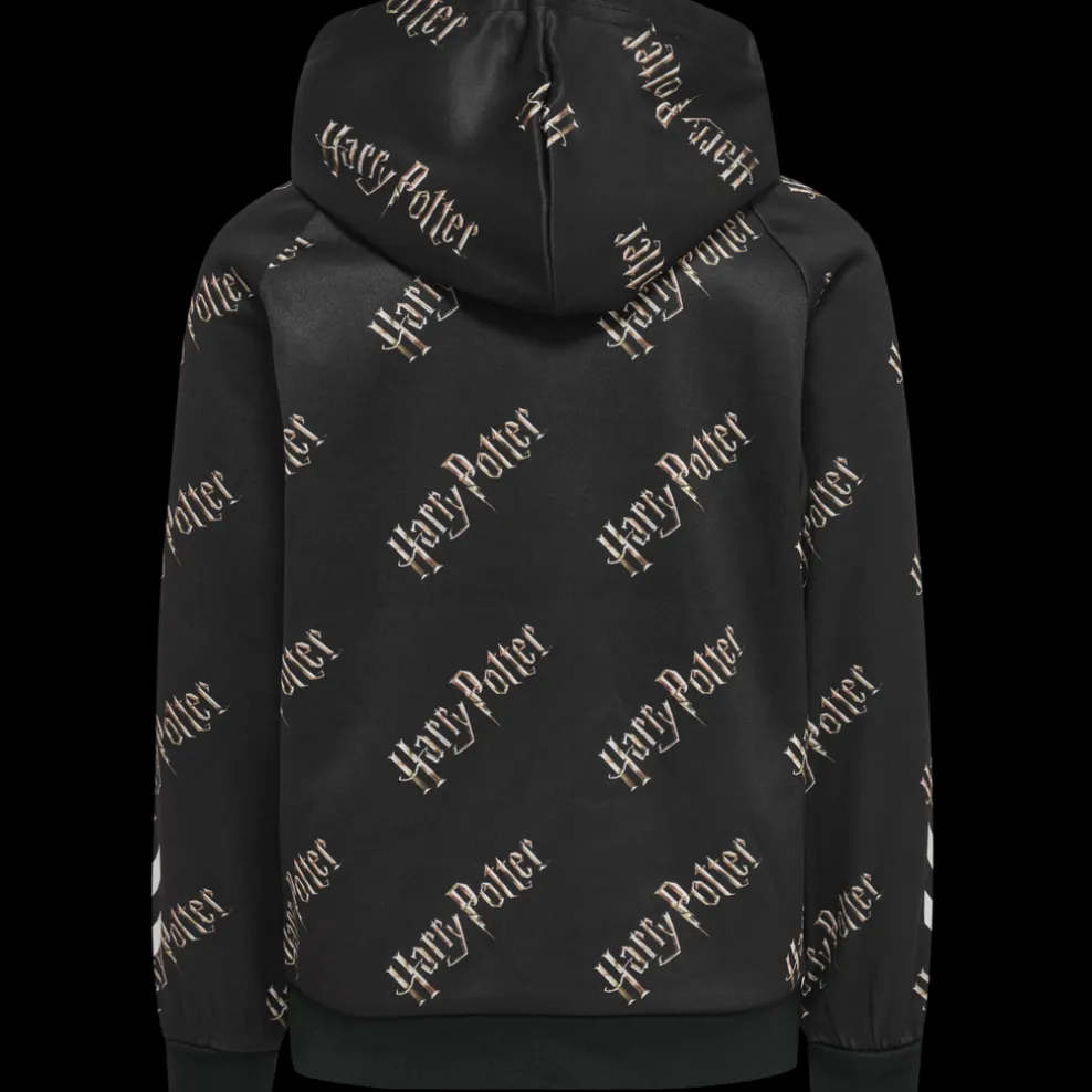 hmlHARRY POTTER HOODIE