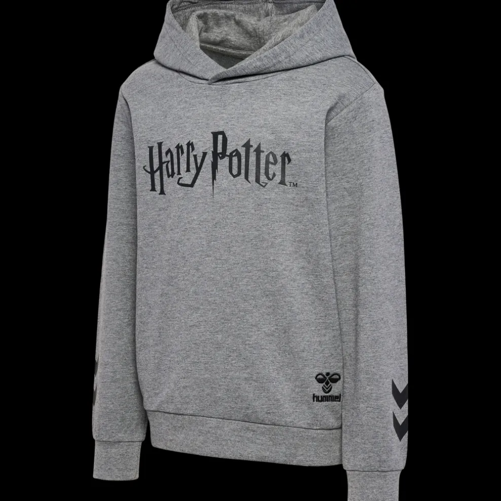 hmlHARRY POTTER HOODIE