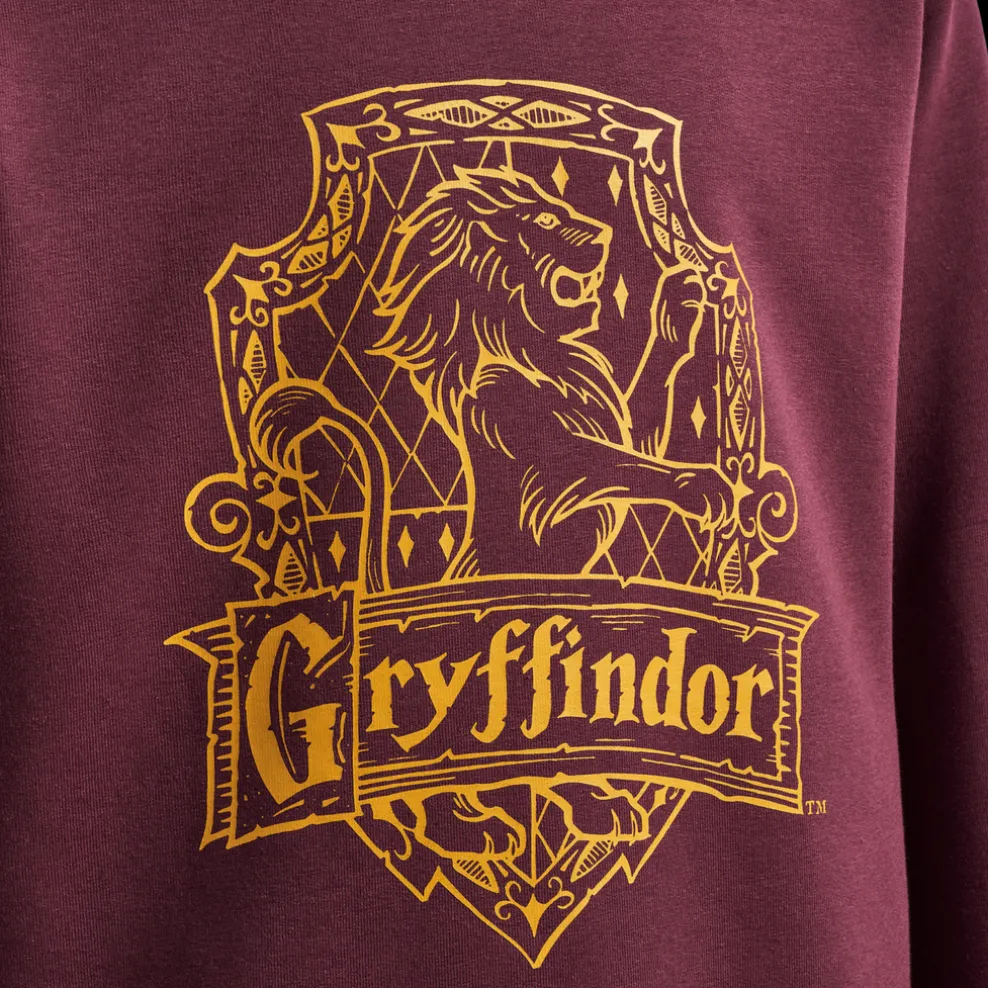 hmlHARRY POTTER HOODIE