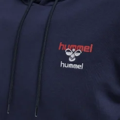hmlIC DAYTON HOODIE