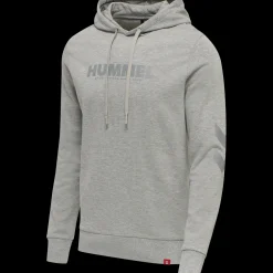 hmlLEGACY LOGO HOODIE PLUS