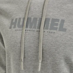 hmlLEGACY LOGO HOODIE PLUS