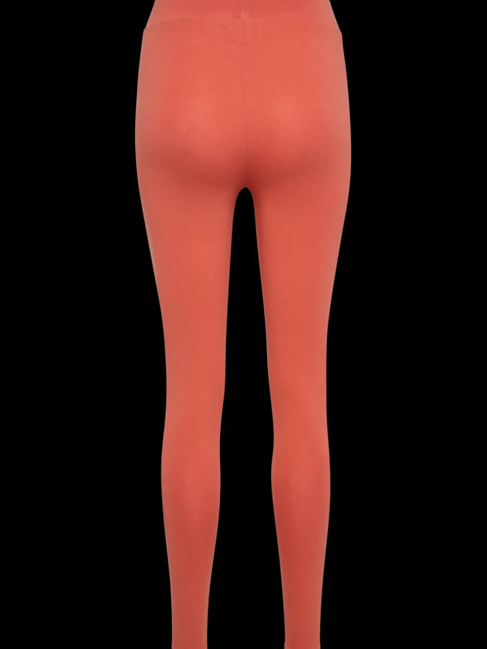 hmlLEGACY WOMAN HIGH WAIST TIGHTS