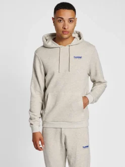 hmlLGC AUSTIN HOODIE