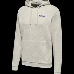 hmlLGC AUSTIN HOODIE