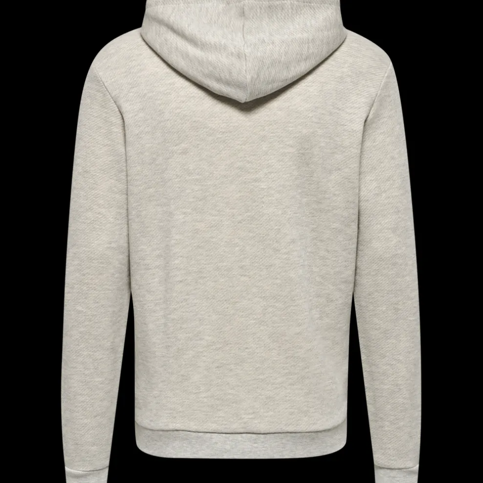 hmlLGC AUSTIN HOODIE