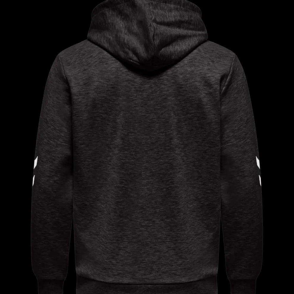 hmlLGC LIAM HOODIE