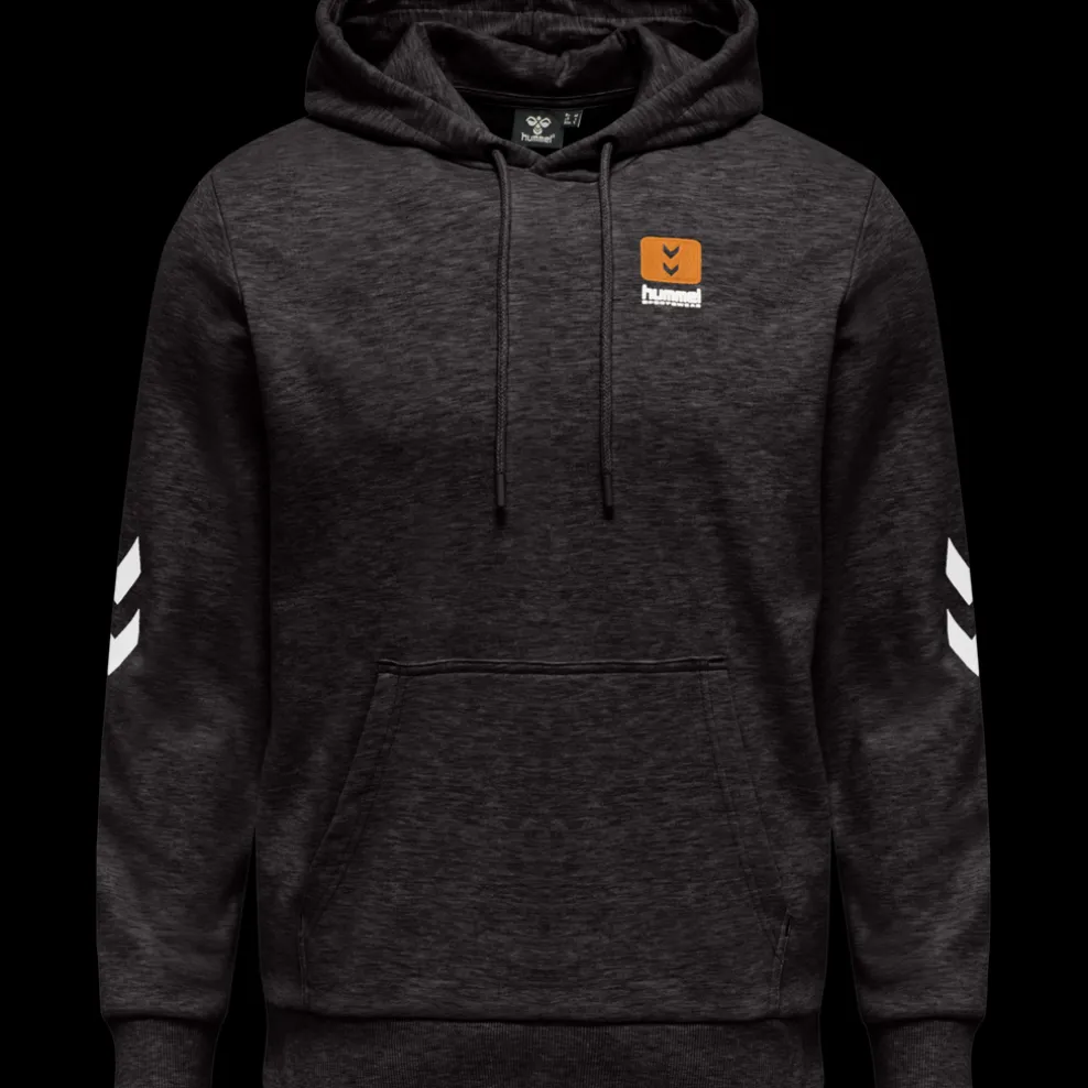 hmlLGC LIAM HOODIE