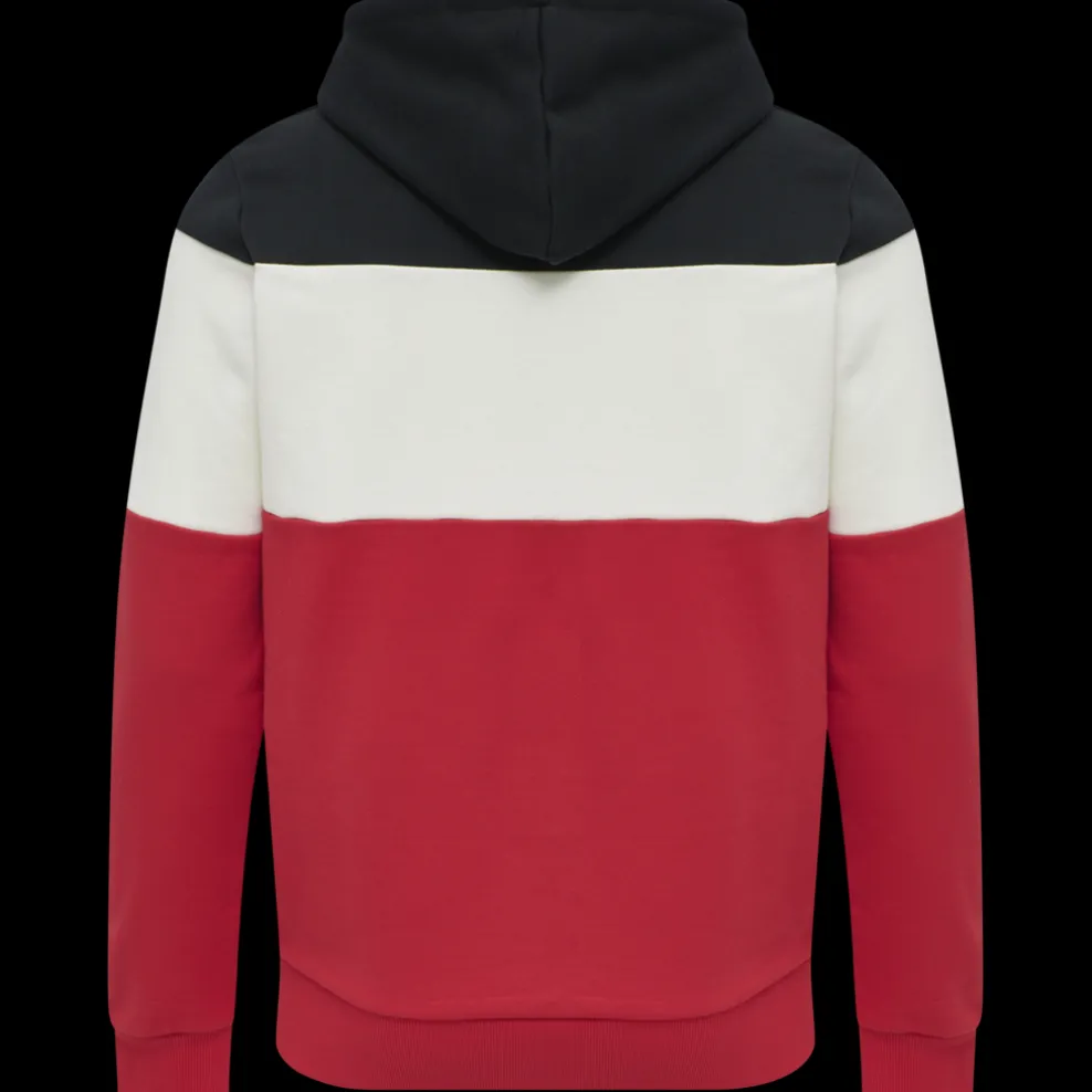 hmlLGC MUSA HOODIE