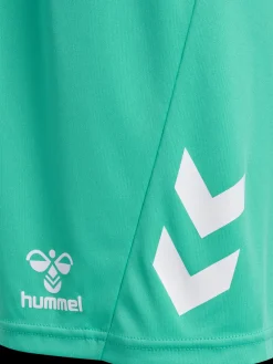 hmlLOGO SET