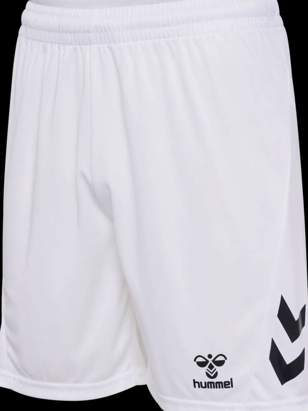 hmlLOGO SET