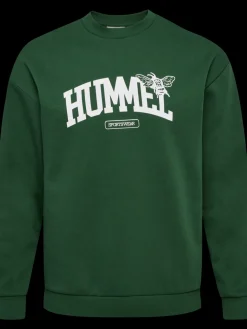 hmlLOOSE CREWNECK UNIVERSITY BEE