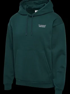 hmlLOOSE HOODIE SPORTSWEAR