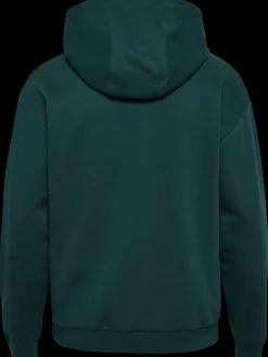 hmlLOOSE HOODIE SPORTSWEAR