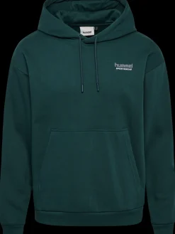 hmlLOOSE HOODIE SPORTSWEAR