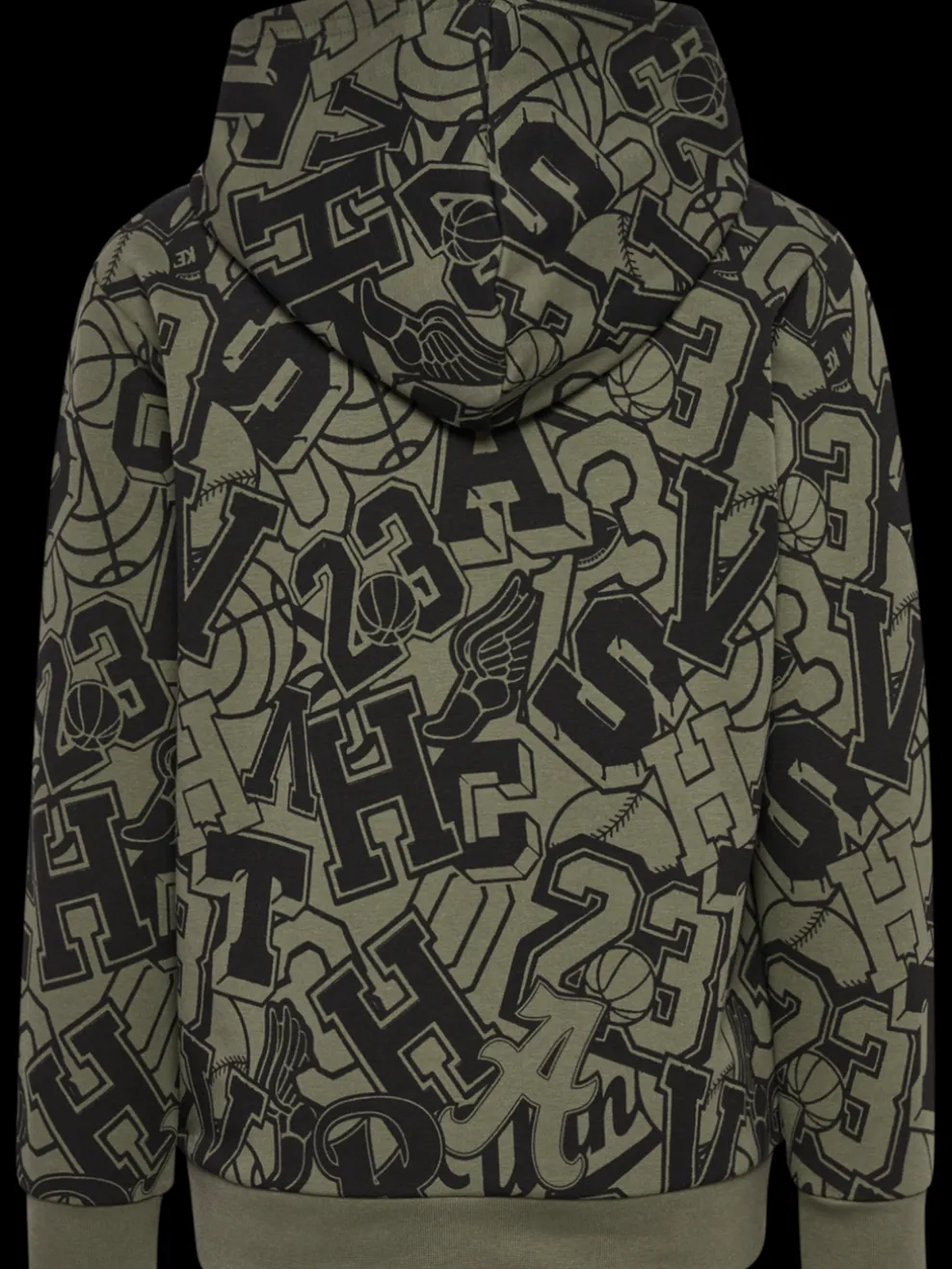hmlMOLT HOODIE