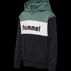 hmlMORTEN HOODIE