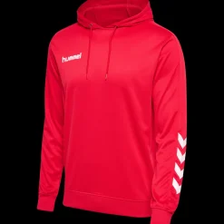 hmlPROMO POLY HOODIE