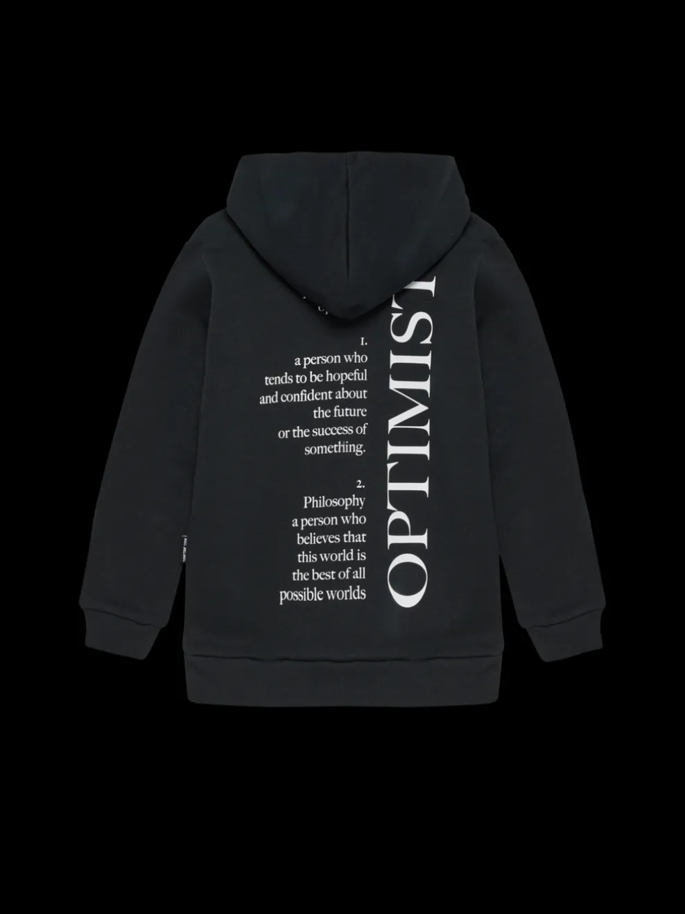 stsAIDEN HOODIE