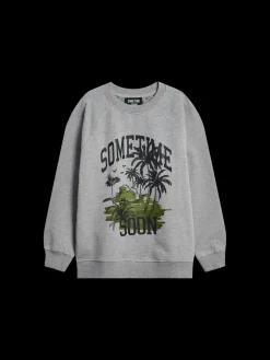stsPALM SWEATSHIRT