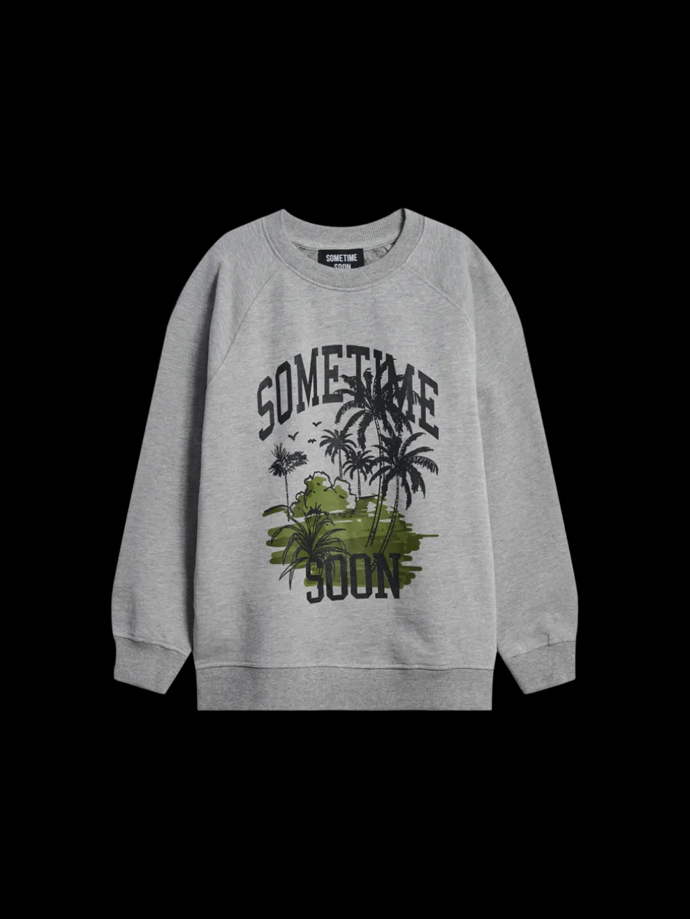stsPALM SWEATSHIRT