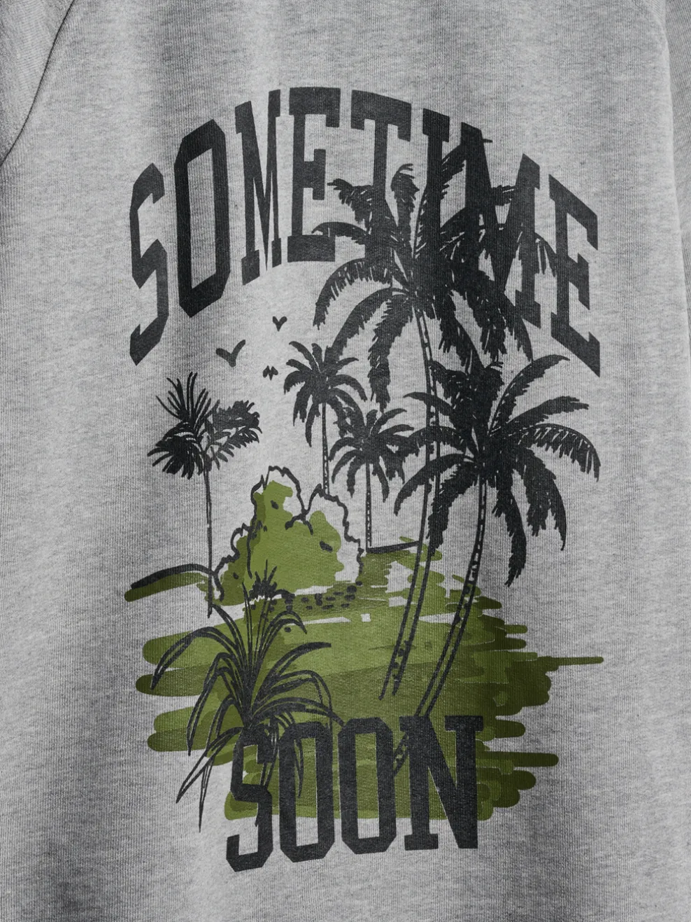 stsPALM SWEATSHIRT